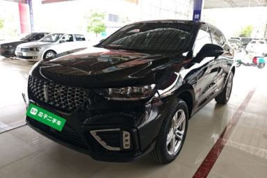 Used Wey VV5 2021 1.5T Two-Wheel Drive Color Pioneer