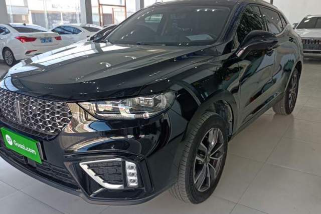 Used Wey VV5 2021 1.5T Two-Wheel Drive Color Pioneer