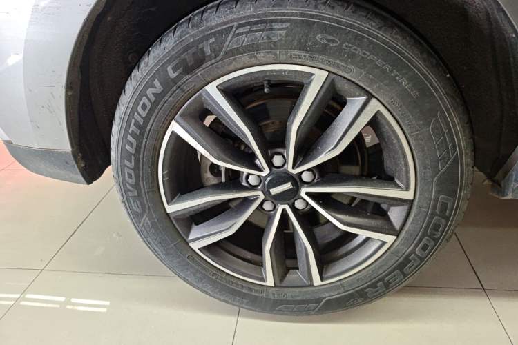 Used Wey VV5 2021 1.5T Two-Wheel Drive Color Pioneer Exterior 8