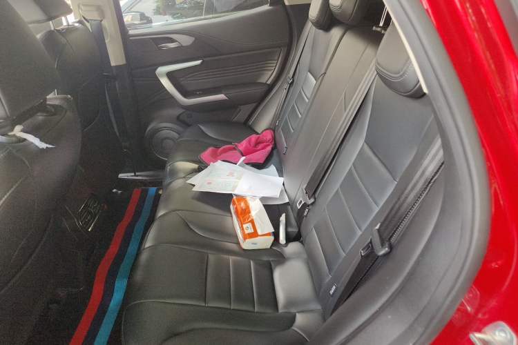 Used Wey VV5 2021 1.5T Two-Wheel Drive Color Pioneer Left Rear Seat