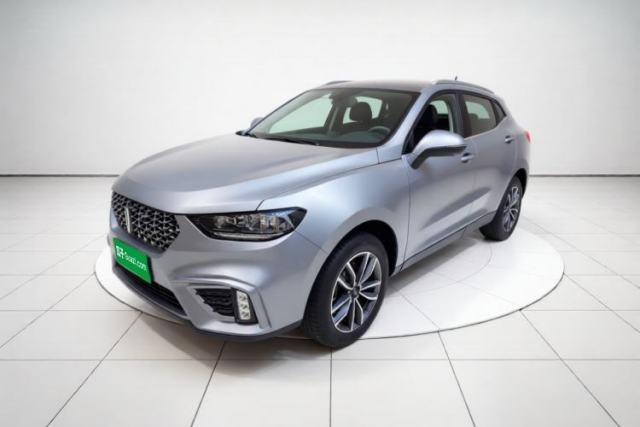 Ojetý Wey VV5 2021 1.5T Two-Wheel Drive Color Pioneer
