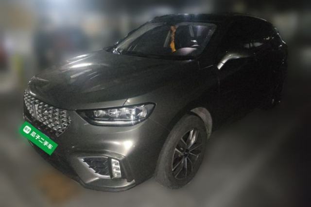 Used Wey VV5 2021 1.5T Two-Wheel Drive Color Pioneer