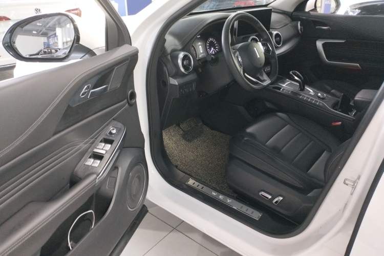 Used Wey VV5 2021 1.5T Two-Wheel Drive Color Pioneer Driver Seat