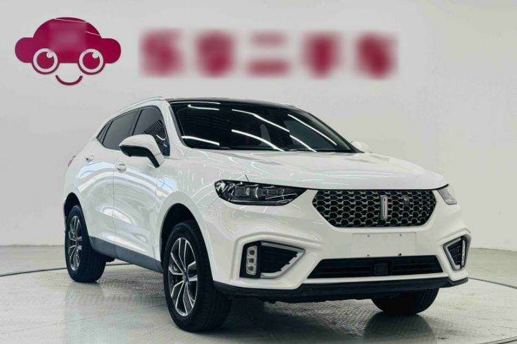 Used Wey VV5 2021 1.5T Two-Wheel Drive Smart Pioneer Exterior 3