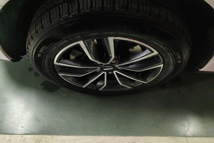 Used Wey VV5 2021 1.5T Two-Wheel Drive Color Pioneer Exterior 4