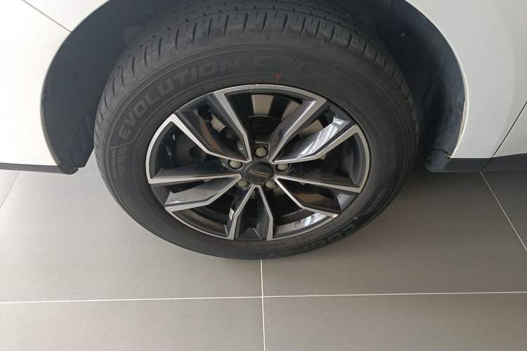 Used Wey VV5 2021 1.5T Two-Wheel Drive Color Pioneer Exterior 4