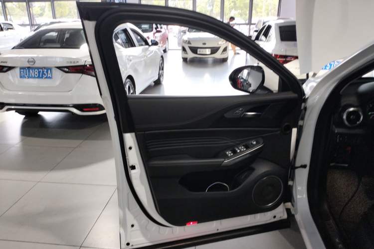 Used Wey VV5 2021 1.5T Two-Wheel Drive Color Pioneer Left Front Door Interior