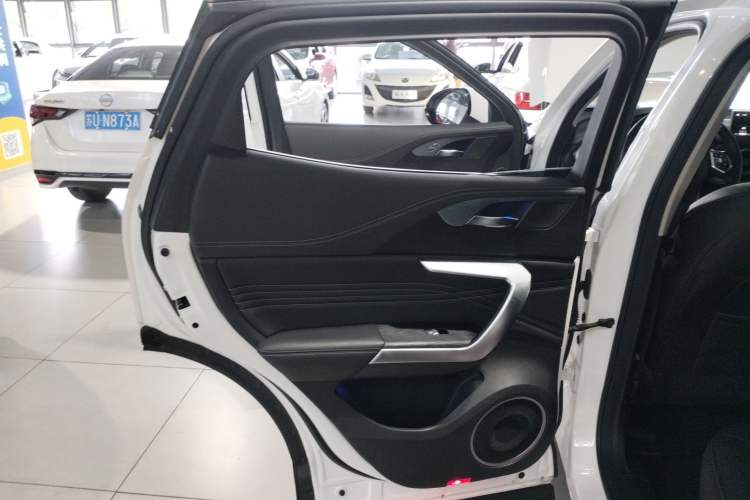 Used Wey VV5 2021 1.5T Two-Wheel Drive Color Pioneer Left Rear Door Interior