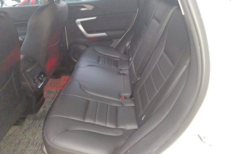 Used Wey VV5 2021 1.5T Two-Wheel Drive Color Pioneer Left Rear Seat