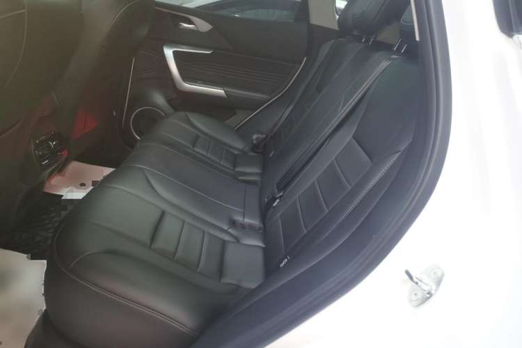 Used Wey VV5 2021 1.5T Two-Wheel Drive Color Pioneer Left Rear Seat