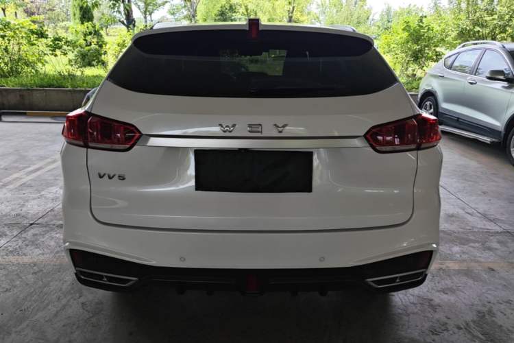 Used Wey VV5 2021 1.5T Two-Wheel Drive Color Pioneer Rear