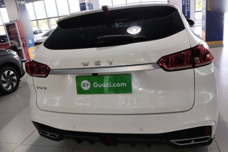 Used Wey VV5 2021 1.5T Two-Wheel Drive Color Pioneer Rear