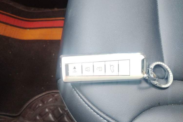 Used Wey VV5 2021 1.5T Two-Wheel Drive Color Pioneer Vehicle Key