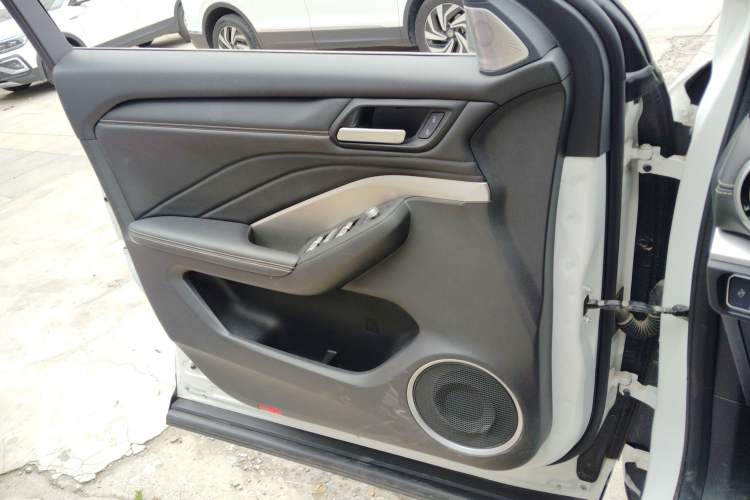 Used Wey VV6 2021 2.0T Two-Wheel Drive Smart Protection+ Left Front Door Interior