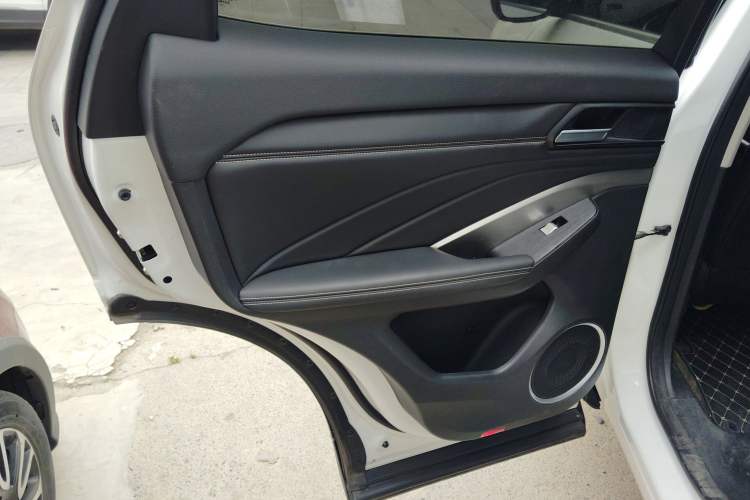 Used Wey VV6 2021 2.0T Two-Wheel Drive Smart Protection+ Left Rear Door Interior