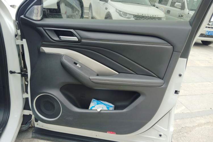 Used Wey VV6 2021 2.0T Two-Wheel Drive Smart Protection+ Right Front Door Interior