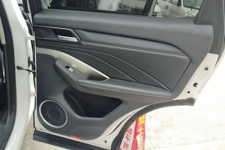 Used Wey VV6 2021 2.0T Two-Wheel Drive Smart Protection+ Right Rear Door Interior