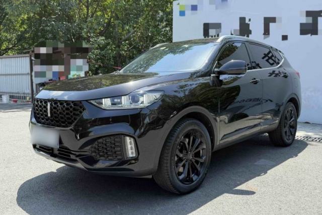 Used Wey VV6 2018 2.0T Two-Wheel-Drive Ultra-Luxury Version China V Standard