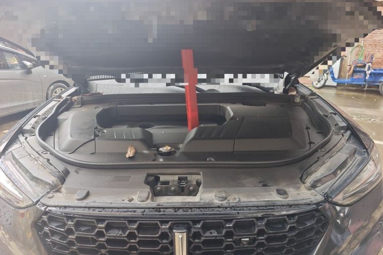 Used Wey VV6 2018 2.0T Two-Wheel-Drive Ultra-Luxury Version China V Standard Engine Bay