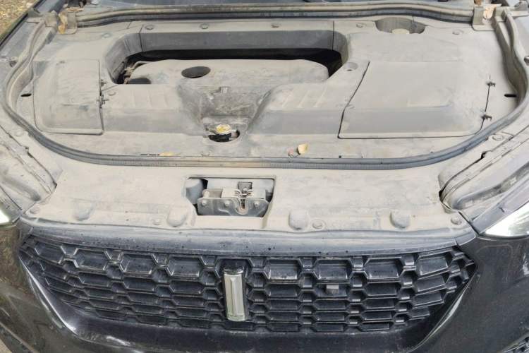 Used Wey VV6 2018 2.0T Two-Wheel Drive Flagship Version China V Standard Engine Bay