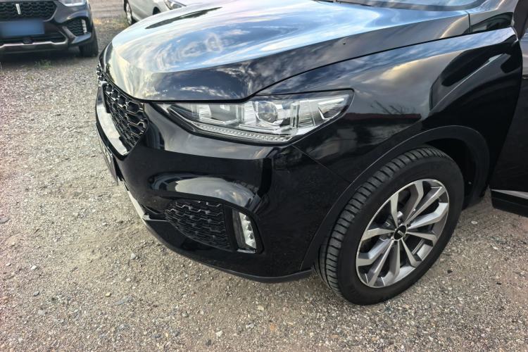 Used Wey VV6 2018 2.0T Two-Wheel-Drive Ultra-Luxury Version China V Standard Exterior 9