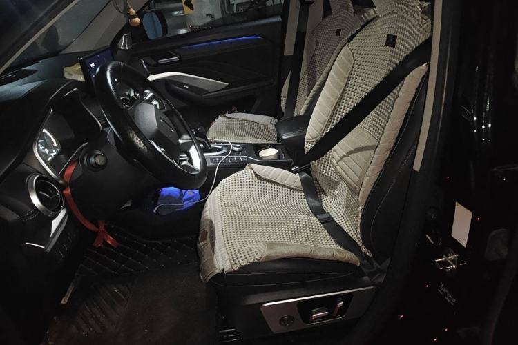 Used Wey VV6 2018 2.0T Two-Wheel-Drive Ultra-Luxury Version China V Standard Left Front Seat