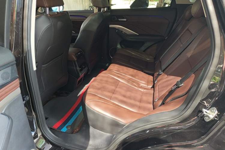 Used Wey VV6 2018 2.0T Two-Wheel Drive Flagship Version China V Standard Left Rear Seat