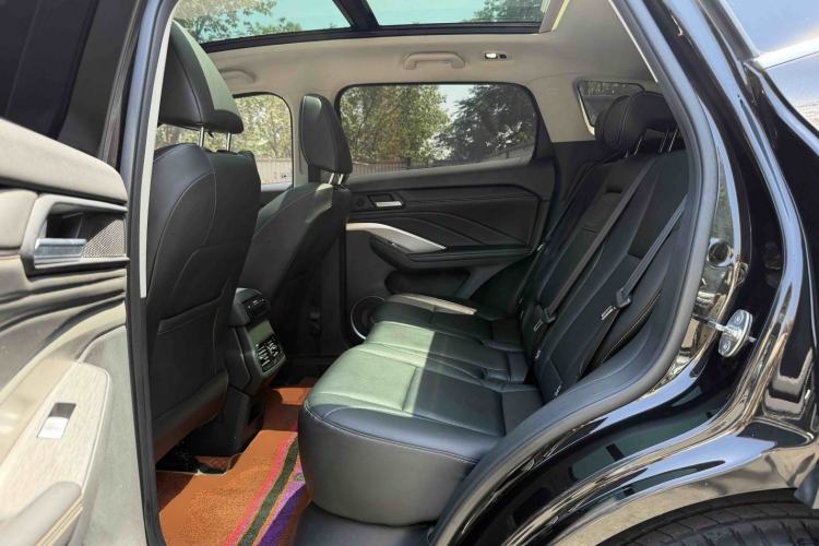 Used Wey VV6 2018 2.0T Two-Wheel-Drive Ultra-Luxury Version China V Standard Left Rear Seat