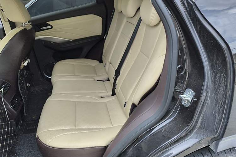 Used Wey VV6 2018 2.0T Two-Wheel Drive Flagship Version China V Standard Left Rear Seat