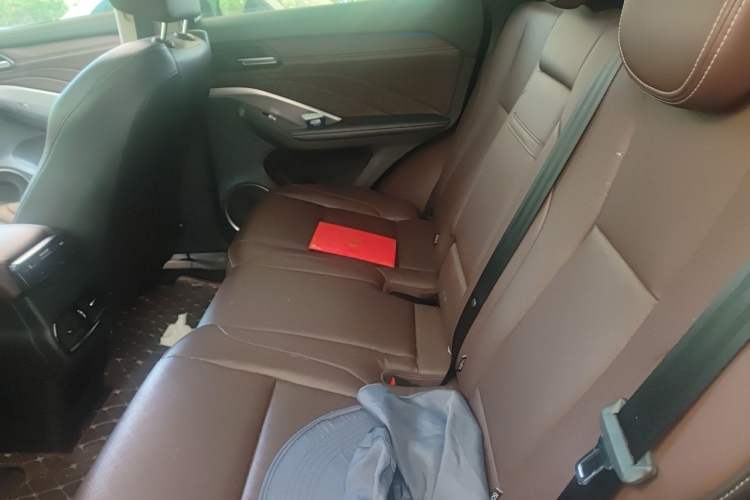 Used Wey VV6 2018 2.0T Two-Wheel-Drive Ultra-Luxury Version China V Standard Left Rear Seat