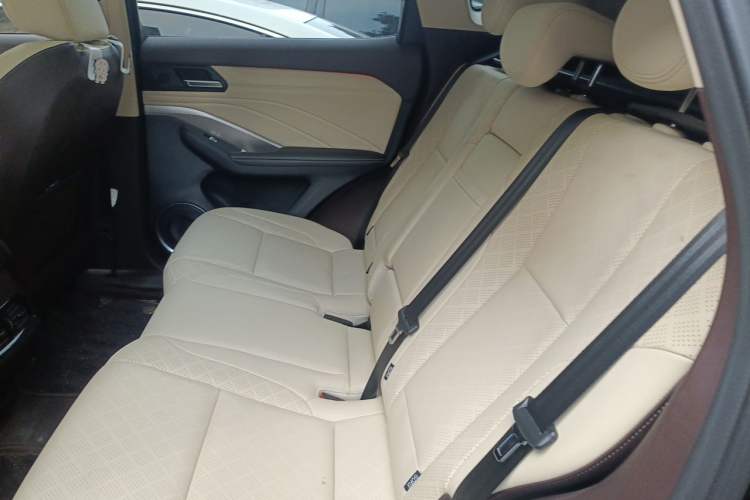 Used Wey VV6 2018 2.0T Two-Wheel Drive Flagship Version China V Standard Left Rear Seat