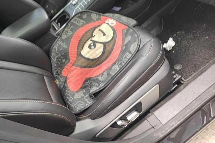 Used Wey VV6 2018 2.0T Two-Wheel-Drive Ultra-Luxury Version China V Standard Right Front Seat