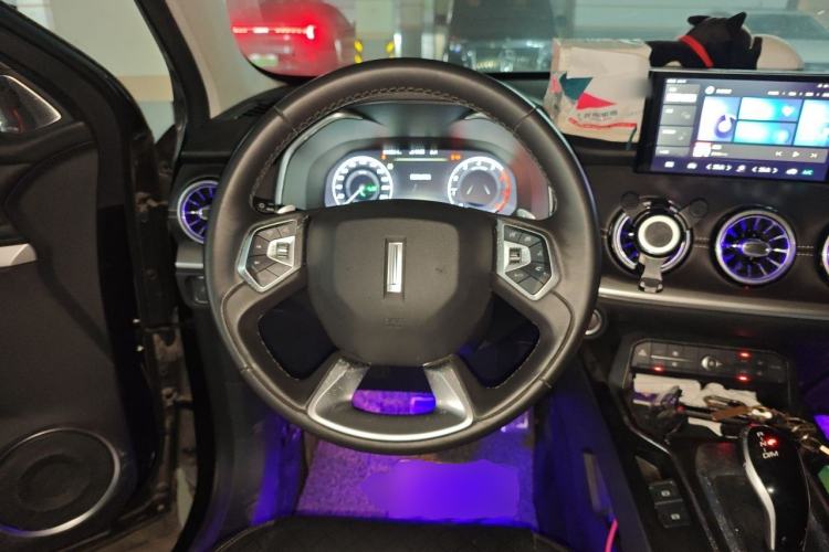 Used Wey VV6 2018 2.0T Two-Wheel-Drive Ultra-Luxury Version China V Standard Steering Wheel