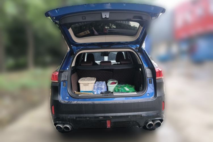 Used Wey VV6 2018 2.0T Two-Wheel-Drive Ultra-Luxury Version China V Standard Trunk