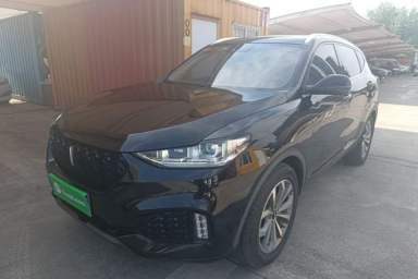 Used Wey VV6 2018 2.0T Two-Wheel-Drive Ultra-Luxury Version China V Standard