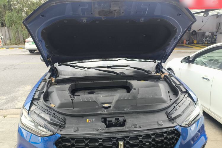 Used Wey VV6 2018 2.0T Two-Wheel-Drive Ultra-Luxury Version China V Standard Engine Bay