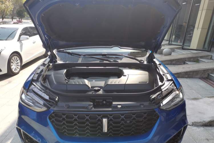 Used Wey VV6 2018 2.0T Two-Wheel-Drive Ultra-Luxury Version China V Standard Engine Bay