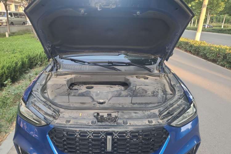 Used Wey VV6 2018 2.0T Two-Wheel Drive Flagship Version China V Standard Engine Bay