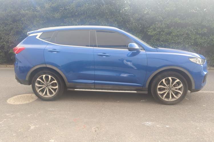 Used Wey VV6 2018 2.0T Two-Wheel-Drive Ultra-Luxury Version China V Standard Exterior 2