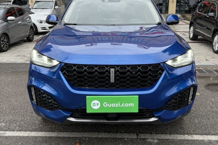 Used Wey VV6 2018 2.0T Two-Wheel-Drive Ultra-Luxury Version China V Standard Exterior 5