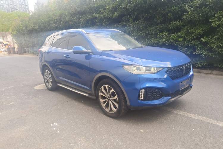 Used Wey VV6 2018 2.0T Two-Wheel-Drive Ultra-Luxury Version China V Standard Exterior 7