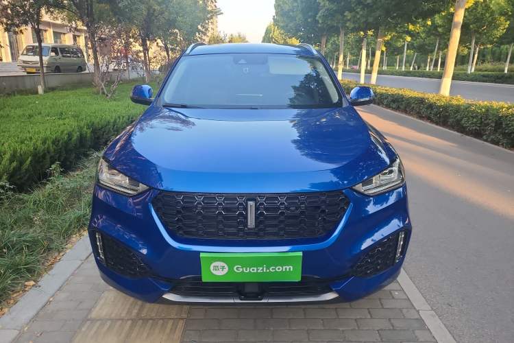 Used Wey VV6 2018 2.0T Two-Wheel Drive Flagship Version China V Standard Front