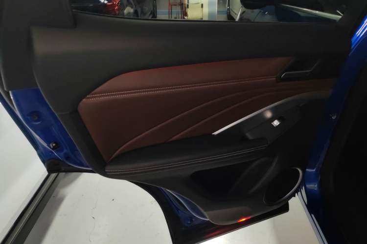 Used Wey VV6 2018 2.0T Two-Wheel-Drive Ultra-Luxury Version China V Standard Left Rear Door Interior