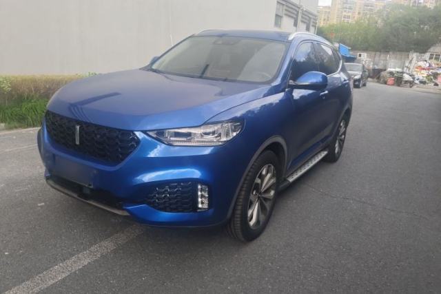 Used Wey VV6 2018 2.0T Two-Wheel-Drive Ultra-Luxury Version China V Standard
