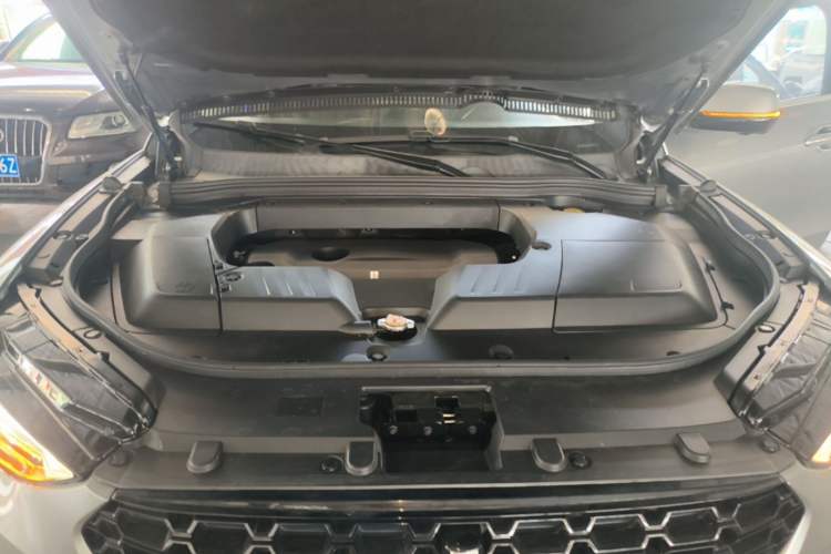 Used Wey VV6 2018 2.0T Two-Wheel-Drive Ultra-Luxury Version China V Standard Engine Bay