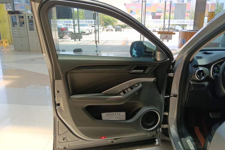Used Wey VV6 2018 2.0T Two-Wheel-Drive Ultra-Luxury Version China V Standard Left Front Door Interior