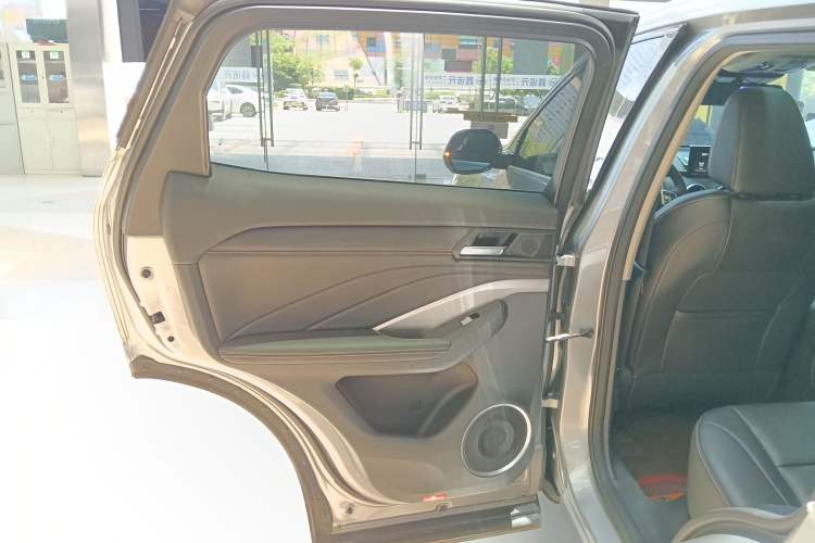 Used Wey VV6 2018 2.0T Two-Wheel-Drive Ultra-Luxury Version China V Standard Left Rear Door Interior