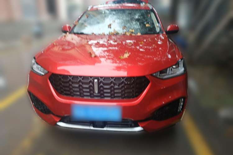 Used Wey VV6 2018 2.0T Two-Wheel-Drive Ultra-Luxury Version China V Standard Front