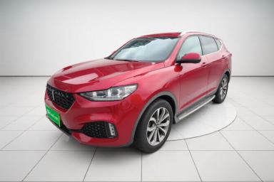 Used Wey VV6 2018 2.0T Two-Wheel-Drive Ultra-Luxury Version China V Standard