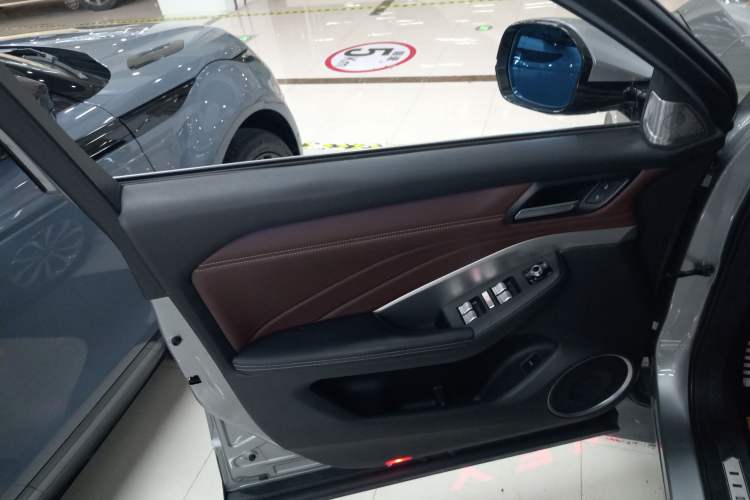 Used Wey VV6 2018 2.0T Two-Wheel-Drive Ultra-Luxury Version China V Standard Left Front Door Interior